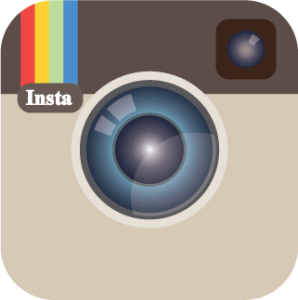 Social Media Icons - Insta